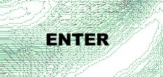 cinema 2000