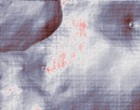 cinemaxx kln
