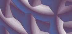 cinema 4d bones