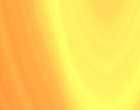 holi kino