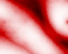 kinoprogramm d